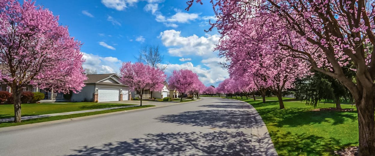 Selling in the Spring