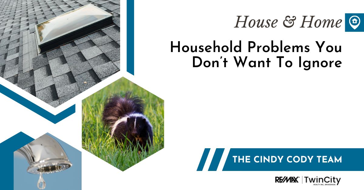 Text reading: "Household Problems You Don’t Want To Ignore". Pictures of a skunk, roof shingles, and a leaky faucet